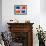 Dominican Republic Flag-daboost-Framed Art Print displayed on a wall