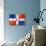 Dominican Republic Flag-daboost-Mounted Art Print displayed on a wall