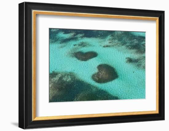 Dominican Republic, Punta Cana, Bavaro, View of Two Heart Shaped Reefs-Jane Sweeney-Framed Photographic Print