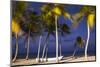 Dominican Republic, Punta Cana, Cap Cana Beach-Jane Sweeney-Mounted Photographic Print