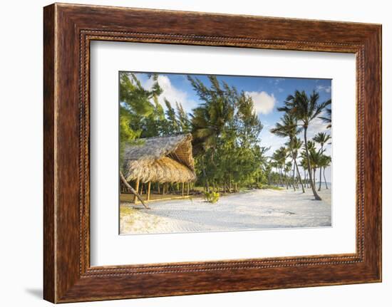 Dominican Republic, Punta Cana, Cap Cana, Juanillo Beach-Jane Sweeney-Framed Photographic Print