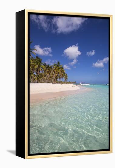 Dominican Republic, Punta Cana, Parque Nacional Del Este, Saona Island, Canto De La Playa-Jane Sweeney-Framed Premier Image Canvas