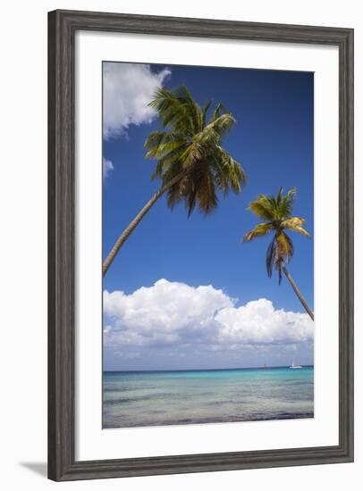 Dominican Republic, Punta Cana, Parque Nacional Del Este, Saona Island, Catuano Beach-Jane Sweeney-Framed Photographic Print