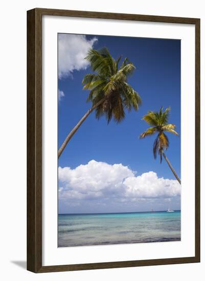 Dominican Republic, Punta Cana, Parque Nacional Del Este, Saona Island, Catuano Beach-Jane Sweeney-Framed Photographic Print