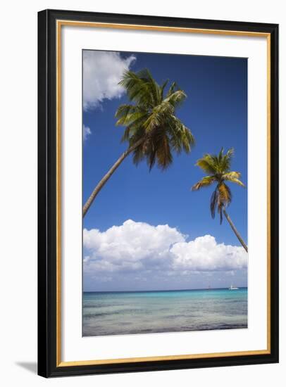 Dominican Republic, Punta Cana, Parque Nacional Del Este, Saona Island, Catuano Beach-Jane Sweeney-Framed Photographic Print