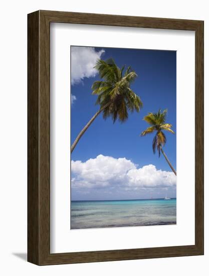 Dominican Republic, Punta Cana, Parque Nacional Del Este, Saona Island, Catuano Beach-Jane Sweeney-Framed Photographic Print