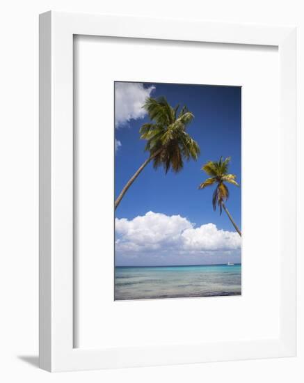 Dominican Republic, Punta Cana, Parque Nacional Del Este, Saona Island, Catuano Beach-Jane Sweeney-Framed Photographic Print