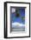 Dominican Republic, Punta Cana, Parque Nacional Del Este, Saona Island, Catuano Beach-Jane Sweeney-Framed Photographic Print