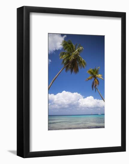 Dominican Republic, Punta Cana, Parque Nacional Del Este, Saona Island, Catuano Beach-Jane Sweeney-Framed Photographic Print