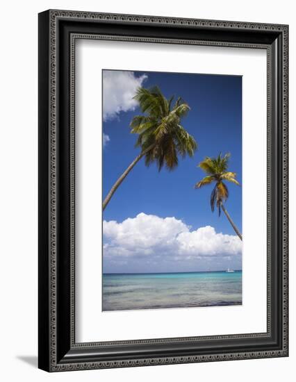 Dominican Republic, Punta Cana, Parque Nacional Del Este, Saona Island, Catuano Beach-Jane Sweeney-Framed Photographic Print