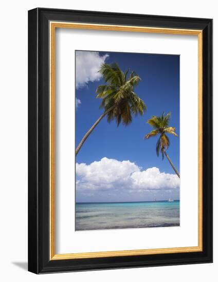 Dominican Republic, Punta Cana, Parque Nacional Del Este, Saona Island, Catuano Beach-Jane Sweeney-Framed Photographic Print