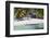 Dominican Republic, Punta Cana, Parque Nacional Del Este, Saona Island, Mano Juan-Jane Sweeney-Framed Photographic Print