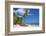 Dominican Republic, Punta Cana, Parque Nacional Del Este, Saona Island, Mano Juan-Jane Sweeney-Framed Photographic Print