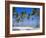Dominican Republic, Punta Cana, West Indies-Jeremy Lightfoot-Framed Photographic Print