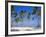 Dominican Republic, Punta Cana, West Indies-Jeremy Lightfoot-Framed Photographic Print