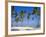 Dominican Republic, Punta Cana, West Indies-Jeremy Lightfoot-Framed Photographic Print