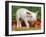 Domsetic Piglet with Vegetables, USA-Lynn M^ Stone-Framed Photographic Print