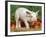 Domsetic Piglet with Vegetables, USA-Lynn M^ Stone-Framed Photographic Print