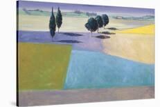 Tuscan Reverie-Don Almquist-Stretched Canvas