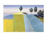 Tuscan Reverie-Don Almquist-Stretched Canvas
