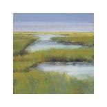 Winding Everglade-Don Almquist-Giclee Print
