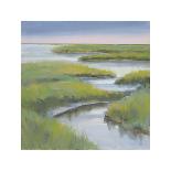 Winding Everglade-Don Almquist-Stretched Canvas