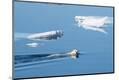 Premium Photographic Print