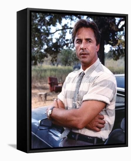Don Johnson-null-Framed Stretched Canvas