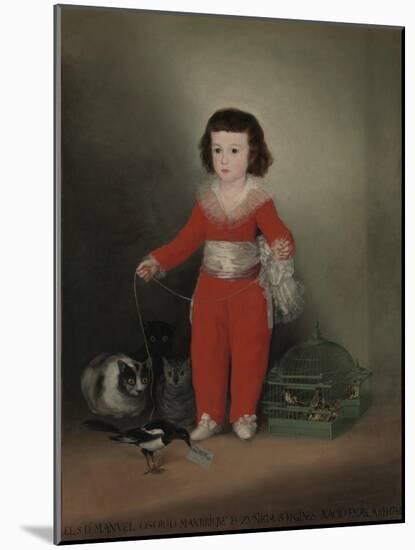 Don Manuel Osorio Manrique De Zuniga (1784-92), 1790-Francisco de Goya-Mounted Giclee Print