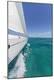 Premium Photographic Print