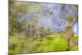 Premium Photographic Print