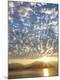 Premium Photographic Print