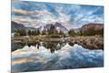 Photographic Print