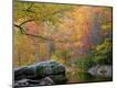 Premium Photographic Print