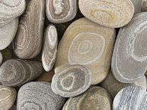 USA, Washington, Seabeck. Close-up of beach stones.-Don Paulson-Photographic Print