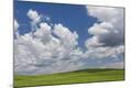 Photographic Print
