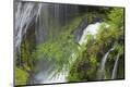 Premium Photographic Print