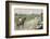 Don Quixote C1910-Chris Hellier-Framed Photographic Print