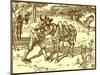 Don Quixote of the Mancha by Walter Crane-Walter Crane-Mounted Giclee Print