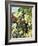 Don Quixote, View from the Back, C.1875-Paul Cézanne-Framed Giclee Print