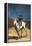 Don Quixote-Honore Daumier-Framed Stretched Canvas