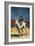 Don Quixote-Honore Daumier-Framed Art Print