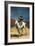 Don Quixote-Honore Daumier-Framed Art Print