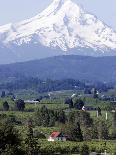 Mount Hood over Houses Scattered amongst Orchards and Firs, Pine Grove, Oregon-Don Ryan-Framed Premier Image Canvas