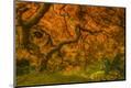 Premium Photographic Print