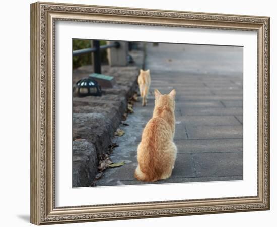 Don't Go-Ryuji Adachi-Framed Photographic Print