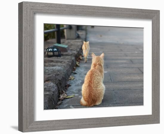 Don't Go-Ryuji Adachi-Framed Photographic Print