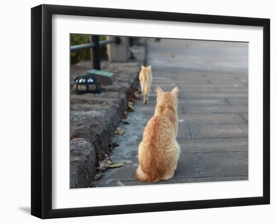 Don't Go-Ryuji Adachi-Framed Photographic Print