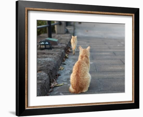 Don't Go-Ryuji Adachi-Framed Photographic Print