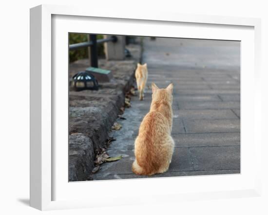 Don't Go-Ryuji Adachi-Framed Photographic Print